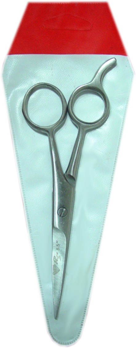 Barber salon scissors ( packed)
