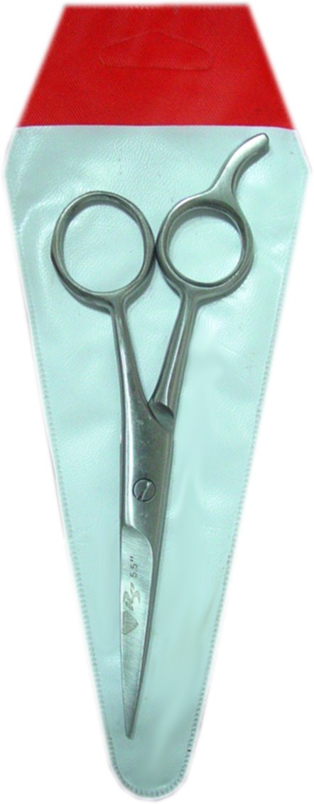 Barber salon scissors ( packed) Barber salon scissors ( packed)