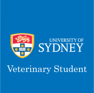 University of sydney